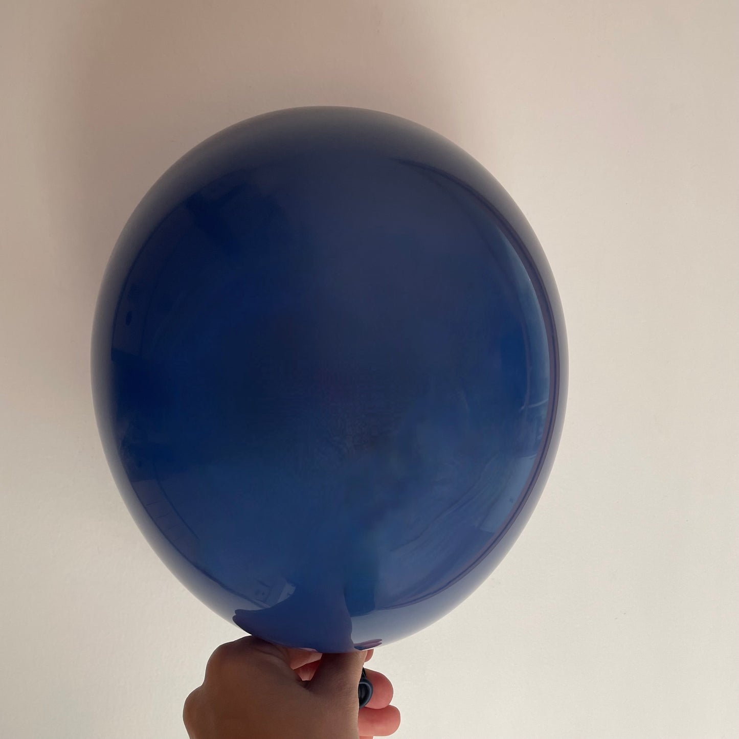 Lot Ballon Bleu Marine - Opaque